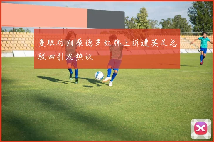 曼联对利桑德罗红牌上诉遭英足总驳回引发热议